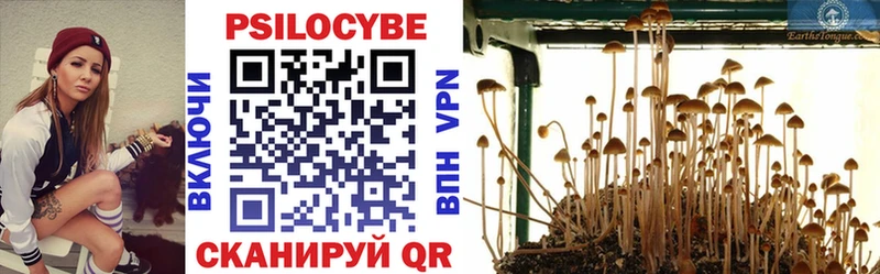 Купить где  Переславль-Залесский  Псилоцибиновые грибы Psilocybine cubensis 